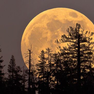 What is a super moon?