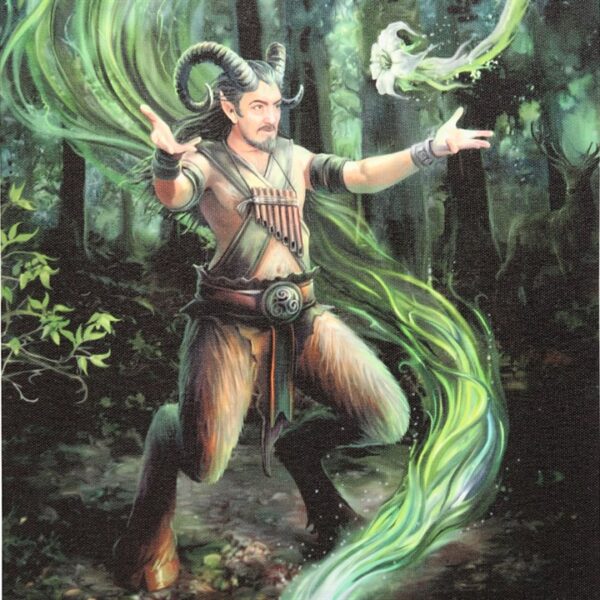 19x25cm Earth Element Wizard Canvas Plaque by Anne Stokes - Image 2