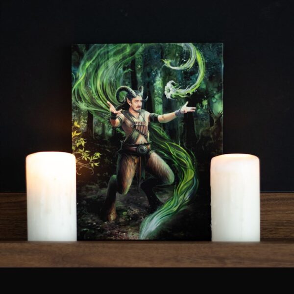 19x25cm Earth Element Wizard Canvas Plaque by Anne Stokes - Image 4