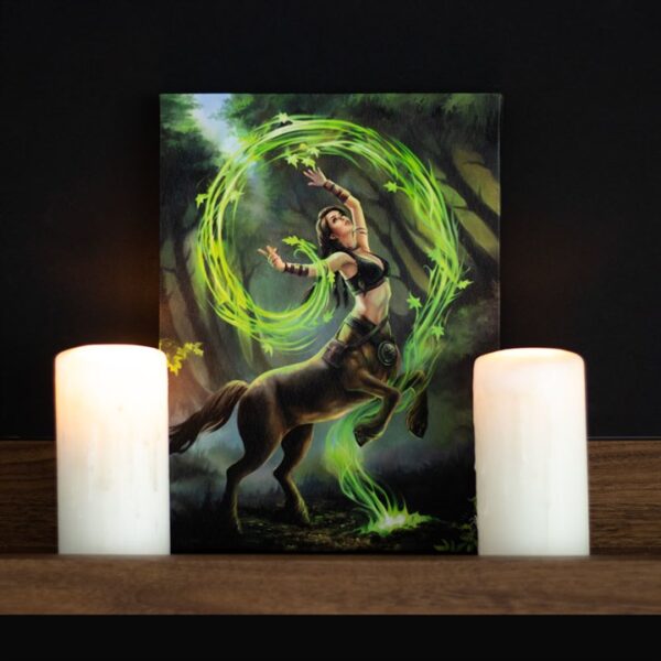 19x25cm Earth Element Sorceress Canvas Plaque by Anne Stokes - Image 4