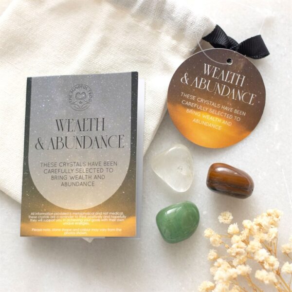 Wealth & Abundance Healing Crystal Set - Image 5