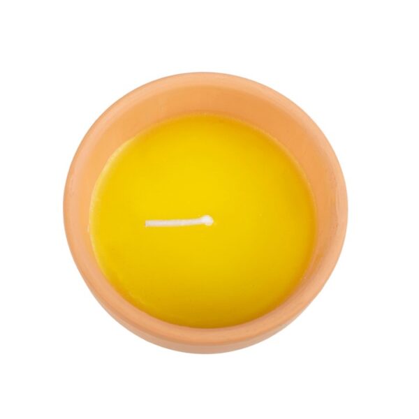 Gardener of the Year Citronella Candle - Image 2