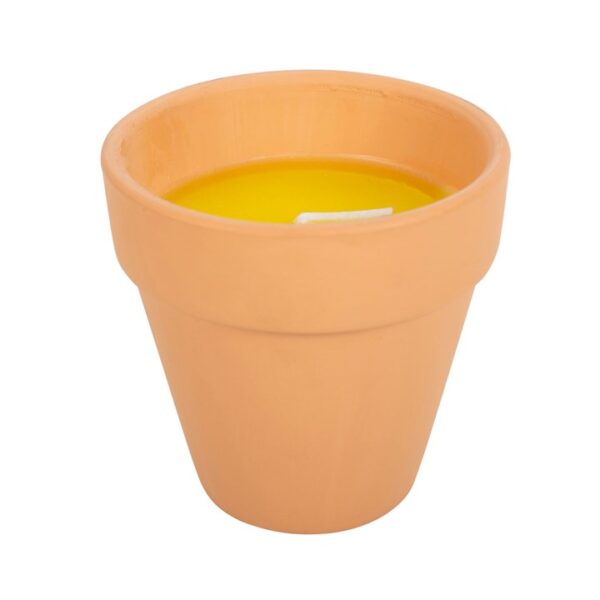 Gardener of the Year Citronella Candle - Image 3