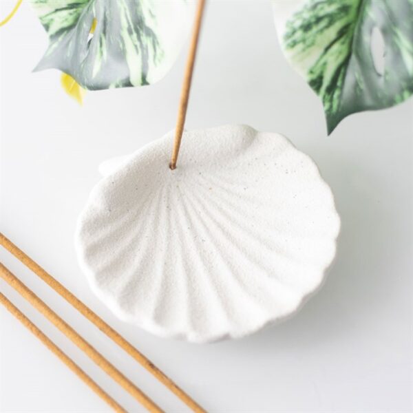 Off White Scallop Shell Incense Stick Holder - Image 4