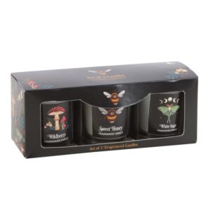 Dark Forest Votive Candle Trio