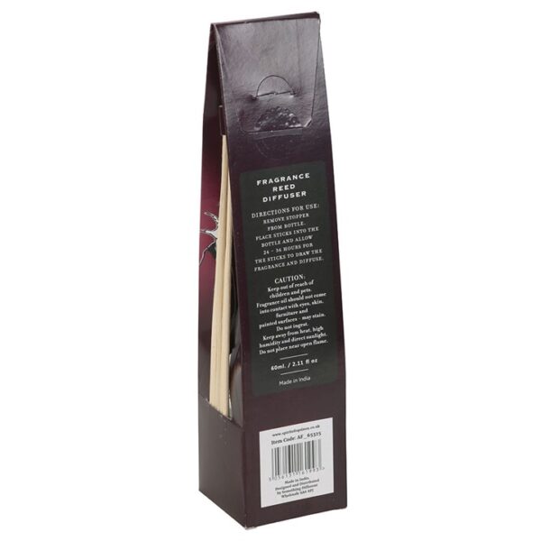 Go Away Evil Reed Diffuser - Image 3